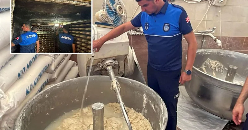 Fırında mide bulandıran manzara: 17 ayrı ceza kesildi
