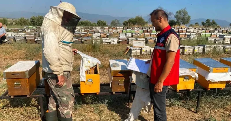 Nazilli’de arılı kovan tespit çalışmaları sürüyor