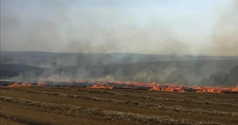 Tarladaki anızı doğal gübreye dönüştürmenin yolu Sözcü Gazetesi