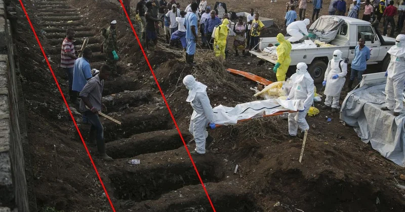 Tedavisi de aşısı da yok! 2 binden fazla kişiyi hayattan koparan salgın hızla yayılıyor