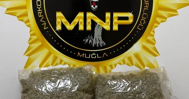 Muğla da 1,9 kilogram esrar ile yakalanan 2 şüpheli tutuklandı Muğla Haberleri Habertürk Yerel Haberler