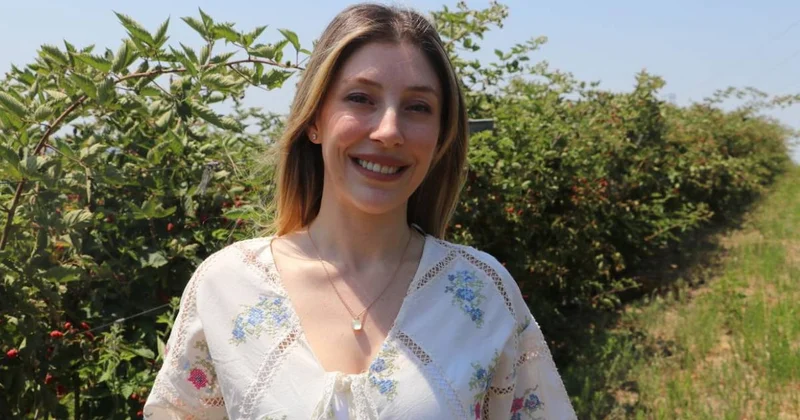 ABD’de gördü Trakya’ya dikti: Her hasatta deste deste para topluyor Sözcü Gazetesi