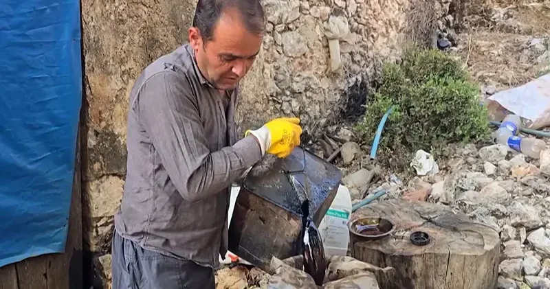 Üretimi zahmetli sedir katranının kilosu 1000 lira
