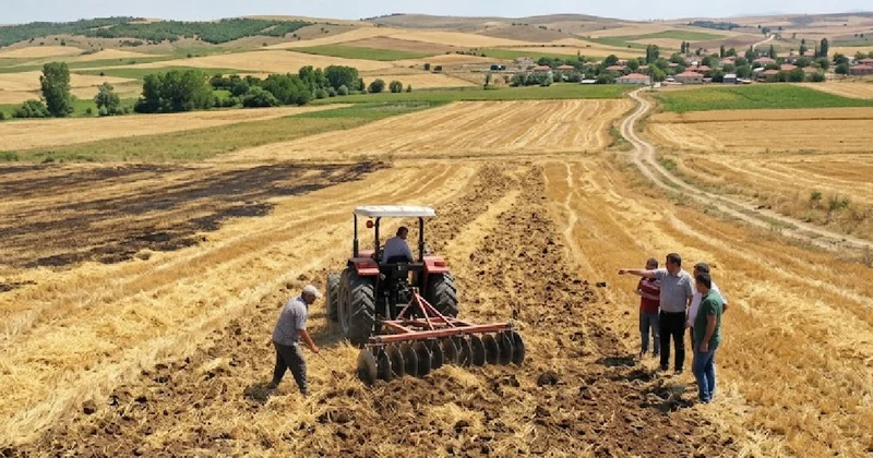 Hasat sonrası tarlalar için çağrı yapıldı: Toprakla karıştırın Sözcü Gazetesi