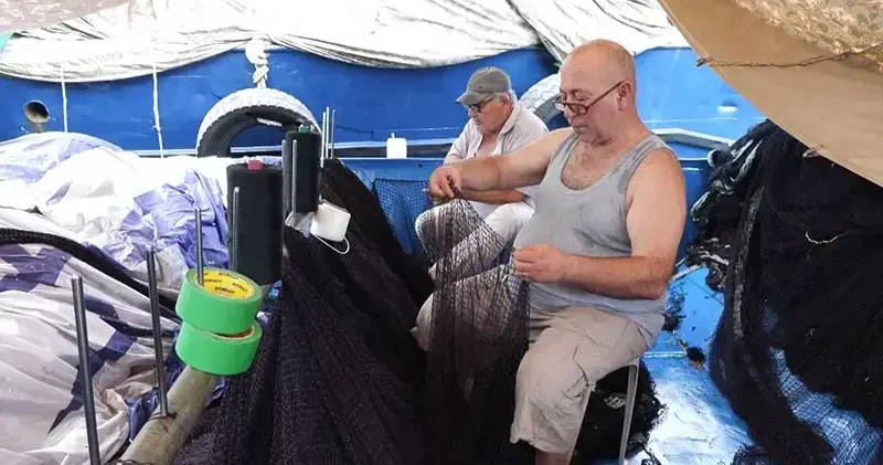 Balıkçılar 1 Eylül deki yeni av sezonundan umutlu; palamut çok yoğun