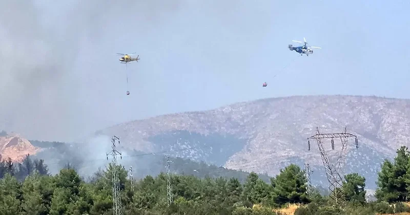 Bilecik’te ormanlık alanda yangın başladı