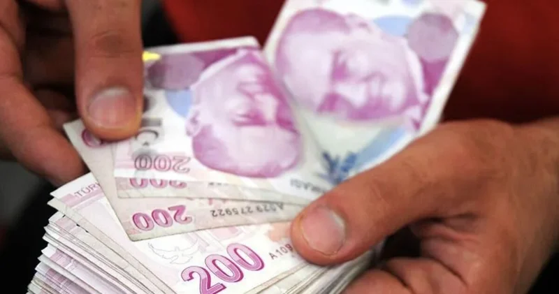 Bakandan milyonlarca kişiye müjde! Çiftçilere 195,6 milyon lira tarımsal destek ödemesi yapılıyor