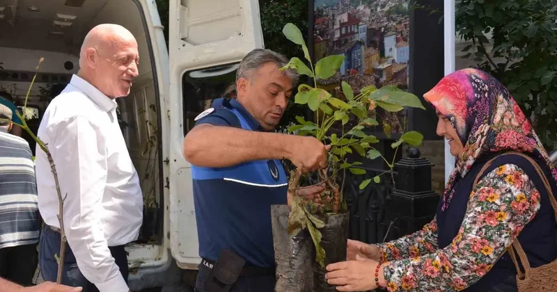 Babadağ Belediyesinden çiftçilere ceviz fidanı desteği