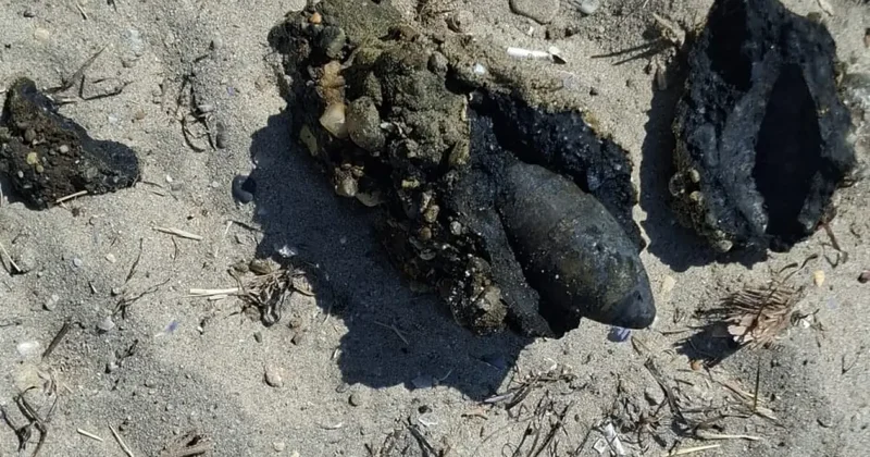 Çanakkale de plaj karıştı! Savaştan kalma mühimmat bulundu