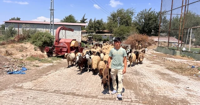 Öksüz ve yetim çoban Suriyeli Abdurrahman dan kendine sahip çıkan aileye yürek ısıtan teşekkür Hatay Haberleri Habertürk Yerel Haberler
