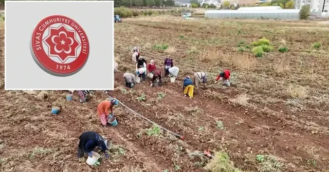Sivas Cumhuriyet Üniversitesi nden öğrencilere hem burs hem üretim fırsatı Sivas Haberleri
