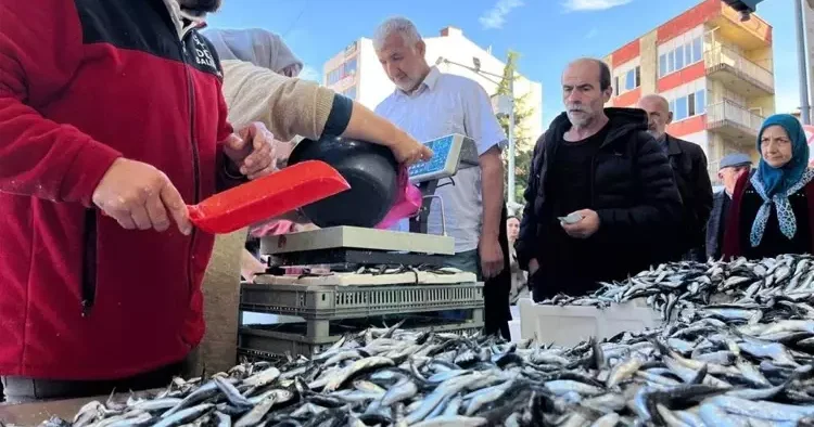 Karadeniz de hamsi ucuzladı! Vatandaş sıraya girdi...