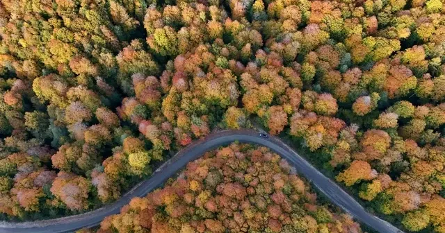 Longoz ve Istranca ormanlarında sonbahar büyüsü VİDEO İZLE
