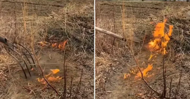 Vatandaş paylaştığı video ile yetkililere seslendi: İlimizin kurtuluşu olabilir