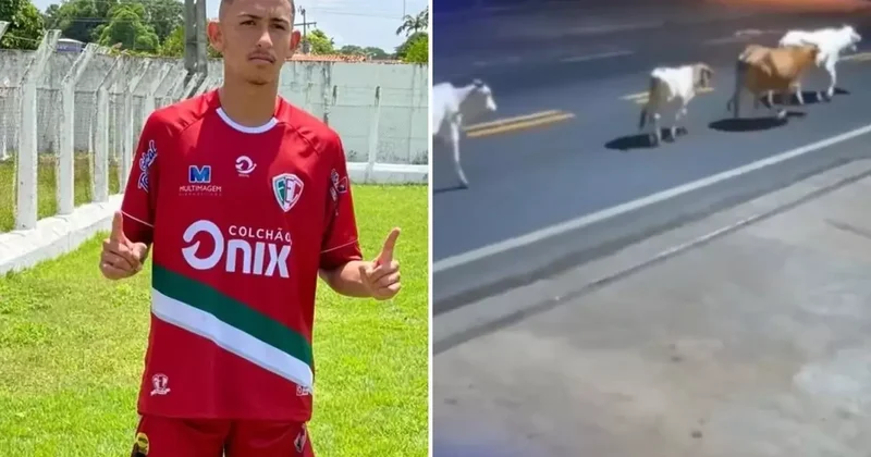 Ölüm anı kamerada! Başıboş inekler, genç futbolcuyu hayattan kopardı