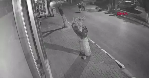 İlgi duyduğu komşu kızına dehşeti yaşattı! Boynundan bıçaklayıp, telefonunu gasp etti...