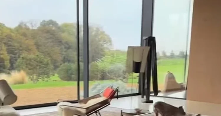Ekranın ünlü yüzü yeni hayatına burada başladı: Pencerelerde perde yok... Bu manzara ömre bedel!