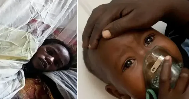 Nijerya da Lassa ateşi nedeniyle ölenlerin sayısı 172 ye yükseldi Afrika Haberleri