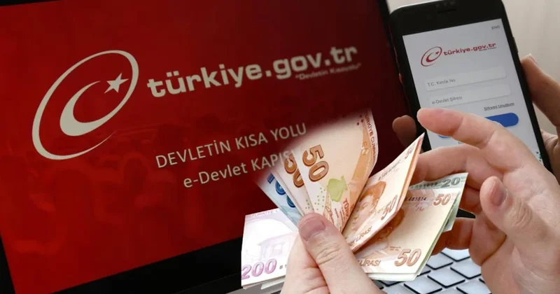 e Devlet e talip çıktı! 10 ülkeye ihraç edilebilir Sözcü Gazetesi