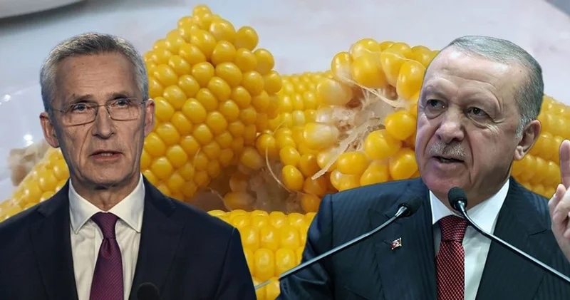 Stoltenberg anlattı: Erdoğan ile savaş konuşurken birden Mısır sever misin? dedi ve hepimiz mısır yedik