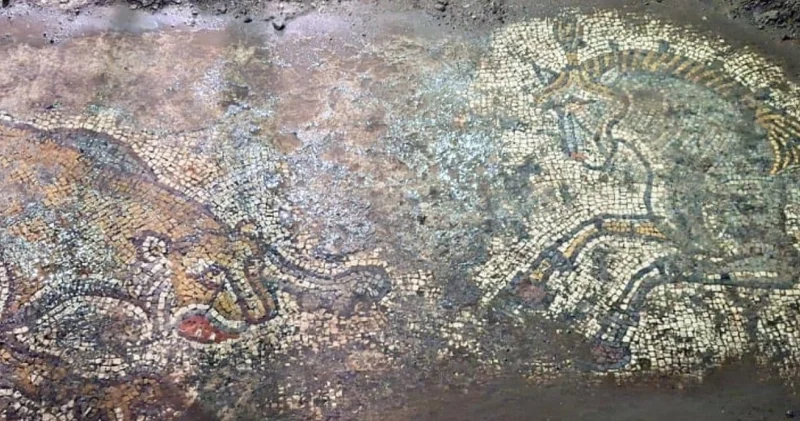 Çalınan bin 500 yıllık mozaik Mardin de bulundu
