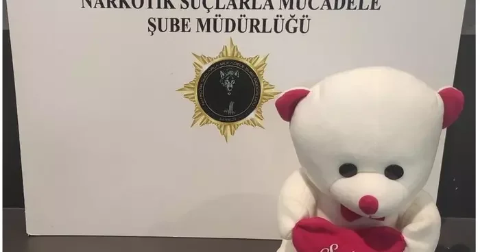 Samsun da ele geçirildi: Oyuncak ayının içine gizlenmiş!