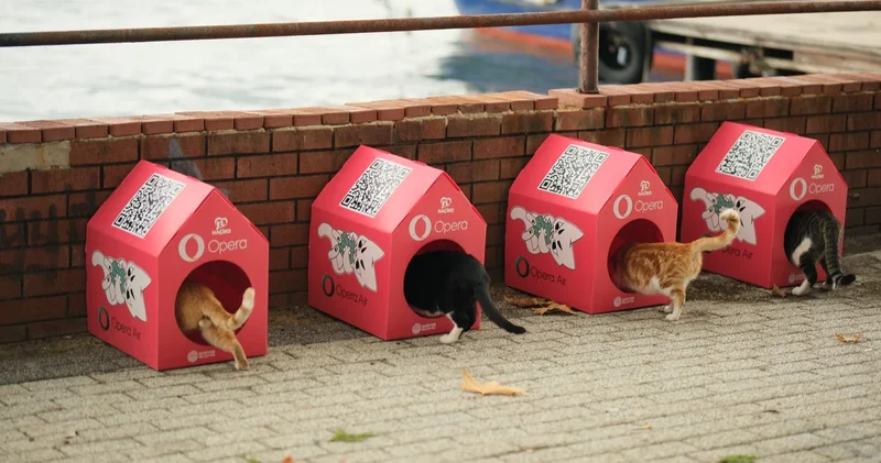Sokaklara kedi mahalleleri kurulmaya başladı, ilk durak Sarıyer