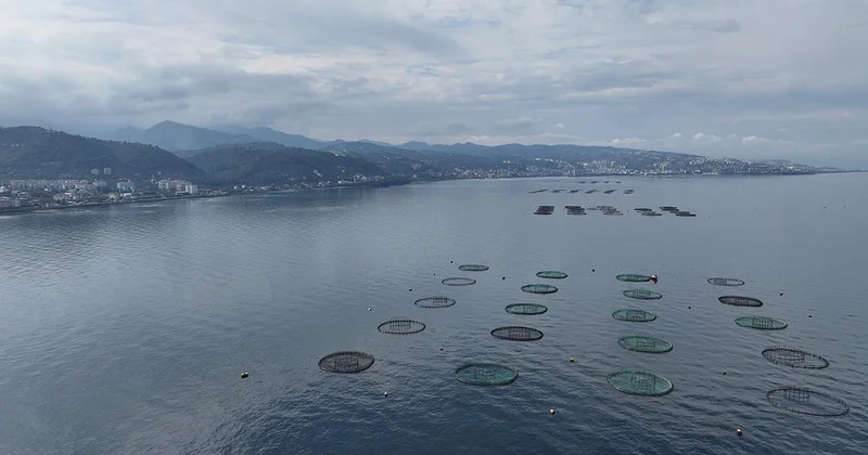 Karadeniz den 31 ülkeye 278,7 milyon dolarlık su ürünü ihracatı