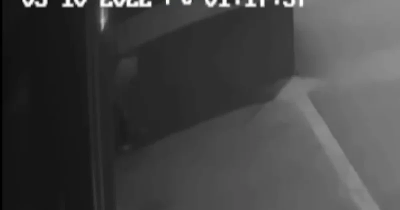 Hırsızlık DNA ile Aydınlatıldı