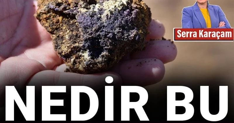 Nedir bu nadir elementler?