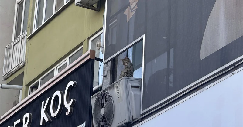 Osmangazi de tabelaya sıkışan kedi için pencereye çıkan iş yeri çalışanı yere düştü