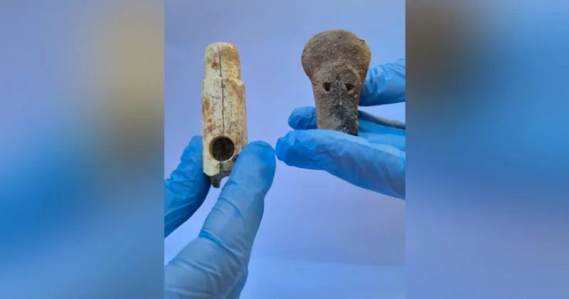 Troya da 160 yılı aşkın kazı tarihinin ilk müzik aleti bulundu