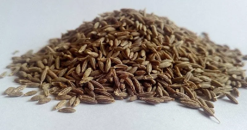 Faydasını duyan sabah akşam bu baharatı tüketecek Sözcü Gazetesi