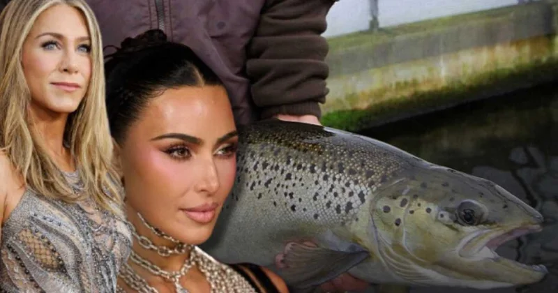 Ünlü isimlerin güzellik sırrı: İğneyle balık spermi enjeksiyonu Sözcü Gazetesi