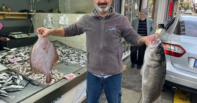 Kilosu bin liradan tezgaha indi, ilgi odağı oldu Akçakoca da 7,5 kilo ağırlığında levrek yakalandı Düzce Haberleri