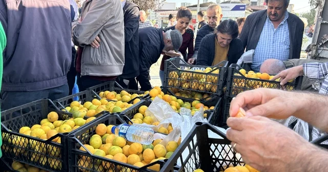 Hatay da üreticiler, alıcı çıkmayan tonlarca mandalinayı ücretsiz dağıttı Hatay Haberleri