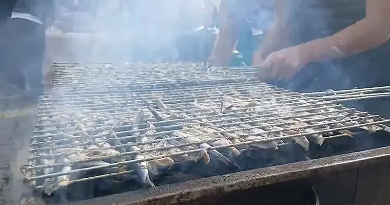 Festivalde 2 bin kişiye balık ekmek dağıtıldı