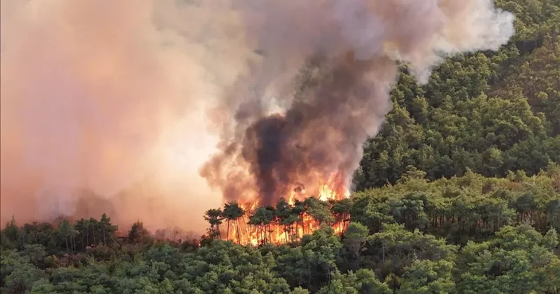 İran, Türkiye den yardım istedi: Yanıt geldi