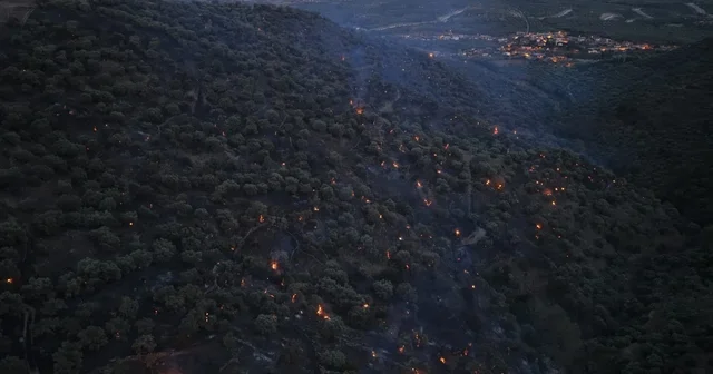 Bozdoğan yangını büyük ölçüde kontrol altına alındı Aydın Haberleri