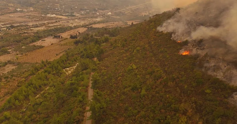 Suriye nin Lazkiye kırsalındaki orman yangınına müdahale ediliyor