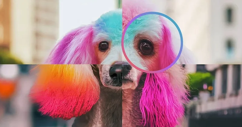 Google dan kritik hamle: Gemini ile yapay zeka görsellerini anında tespit ediyor! Sözcü Gazetesi