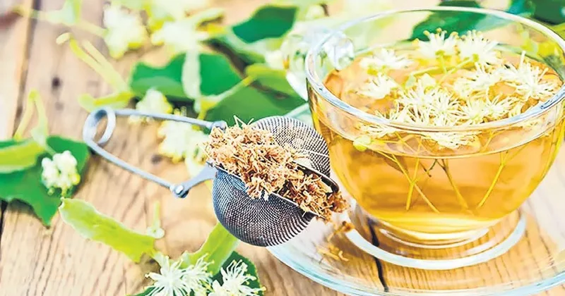 İDİL AÇIKALIN Ihlamurlar altında