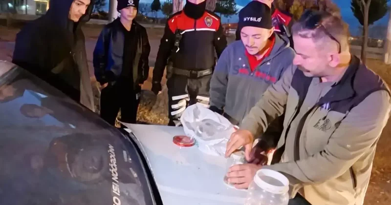 Aksaray da Yasak Akrep Satışına Operasyon