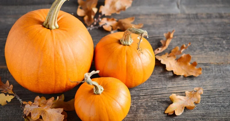 Kış sofralarına balkabağıyla renk katın! Faydaları saymakla bitmeyen balkabağıyla yapabileceğiniz 7 yemek tarifi