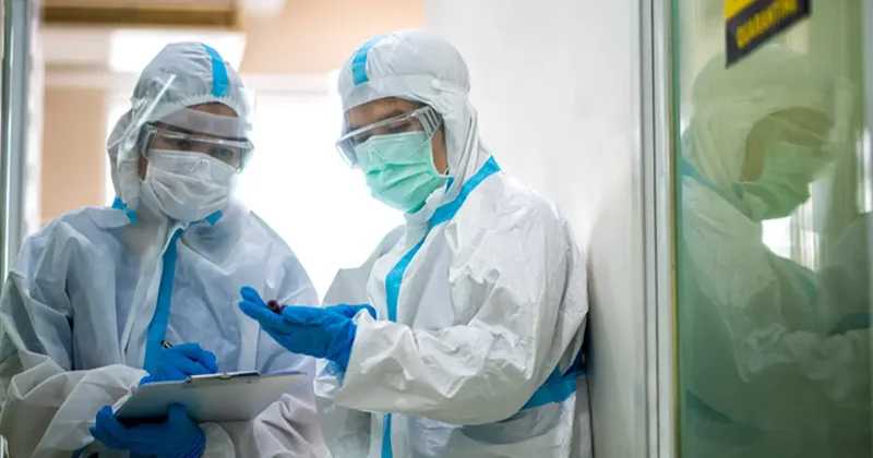 Kuş gribi alarmı: H5N5 virüsü dünyada ilk kez can aldı!