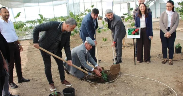 Çocuklara hem teorik hem uygulamalı eğitim Kumluca da Sağlıklı çocuk, sağlıklı gelecek programı düzenlendi Antalya Haberleri