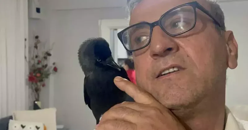 Kızının otomobiline konarak eve gelen kargayı sahiplendi