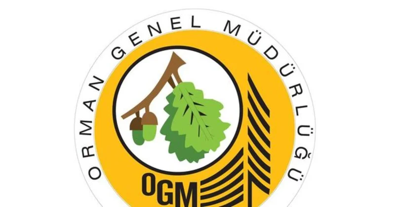 OGM personel alımı başvuruları devam ediyor! OGM 496 personel alımı başvurusu nasıl yapılır, şartları neler?