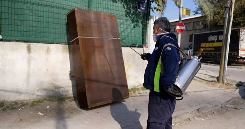 İzmir de karasinek istilası: Şehir dört koldan ilaçlanıyor! Uzman isim uyardı!