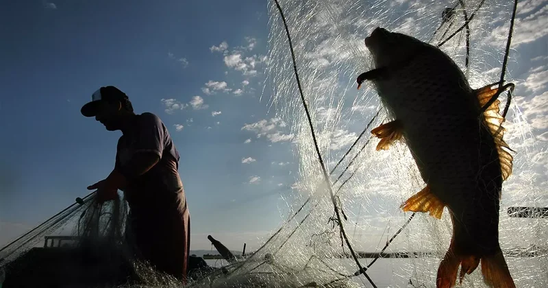 Türkiye nin denizleri alarm veriyor! Balık türleri azalıyor